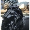Black Lion Sculpture